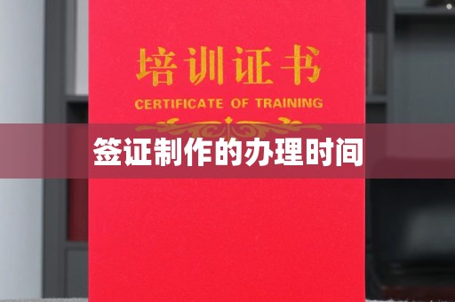 乳源签证制作的办理时间