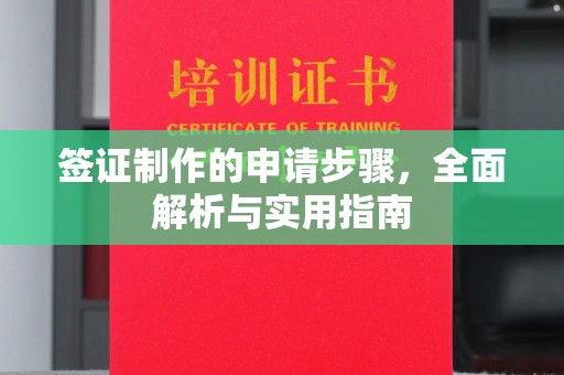 桥西签证制作的申请步骤，全面解析与实用指南