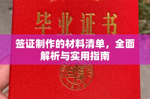 龙泉签证制作的材料清单，全面解析与实用指南