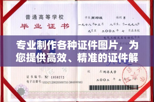 火炬专业制作各种证件图片，为您提供高效、精准的证件解决方案