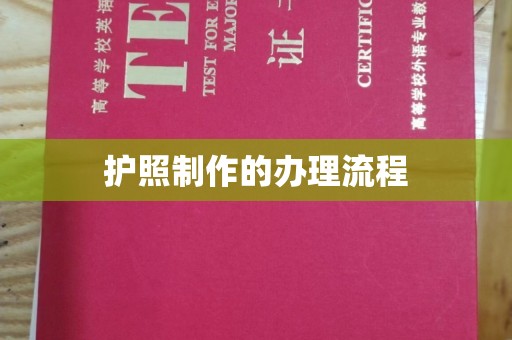 点军护照制作的办理流程