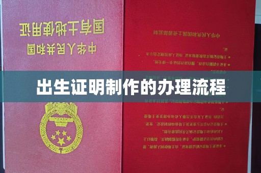阿克塞出生证明制作的办理流程